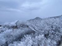 看，2023泰安第一場(chǎng)雪，紛紛揚(yáng)揚(yáng)下開了！瑞雪豐年，新年快樂！