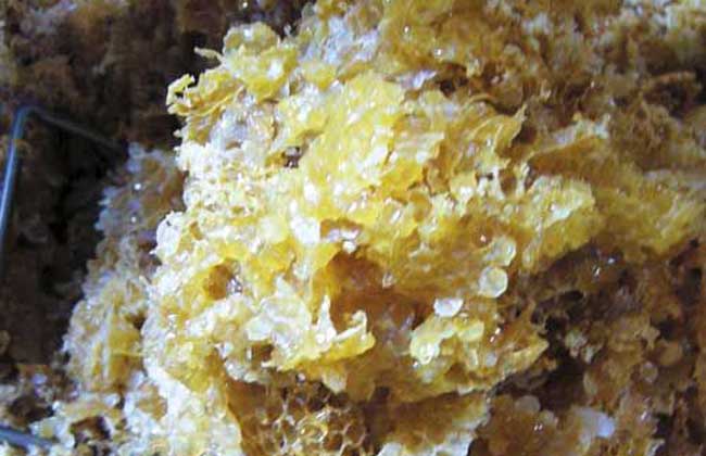 放假一進(jìn)門，媽媽竟然往我嘴里塞這個東西