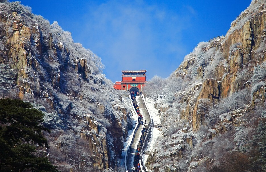 泰山